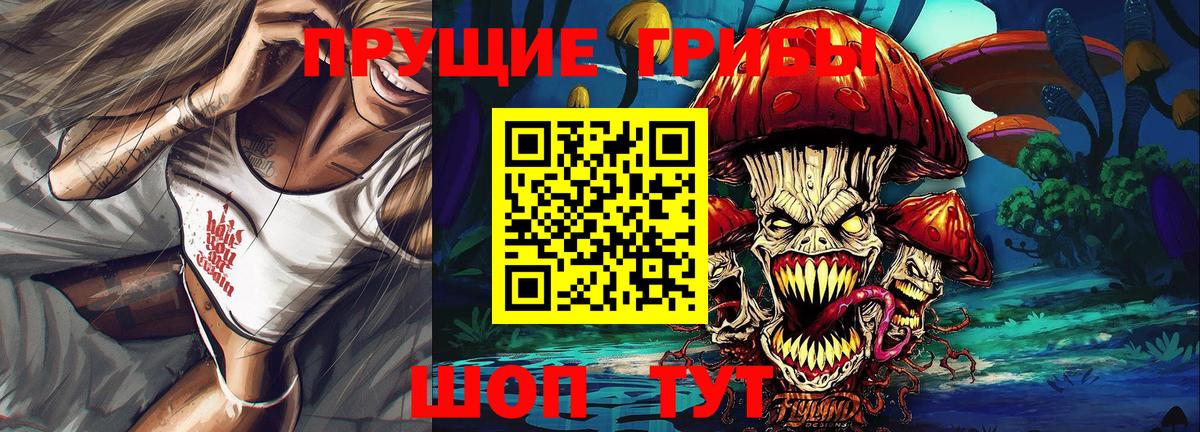 Курск  Галлюциногенные грибы Psilocybine cubensis  Вход с VPN 