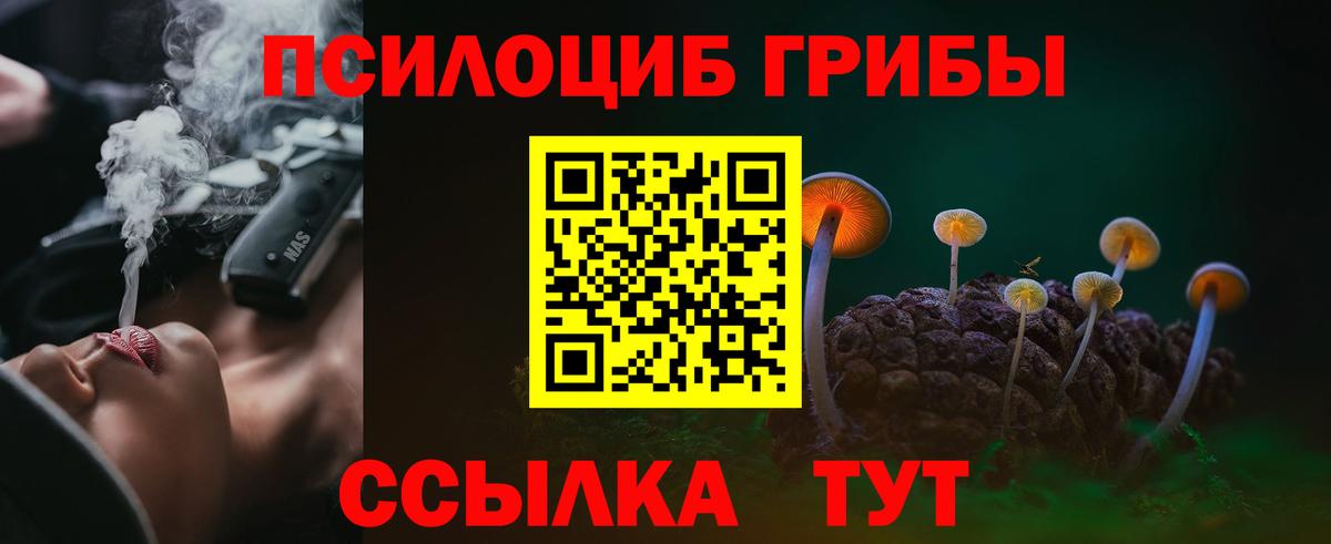 Галлюциногенные грибы Psilocybine cubensis Курск